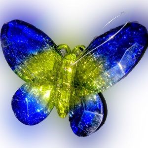 Beautiful reflective butterfly